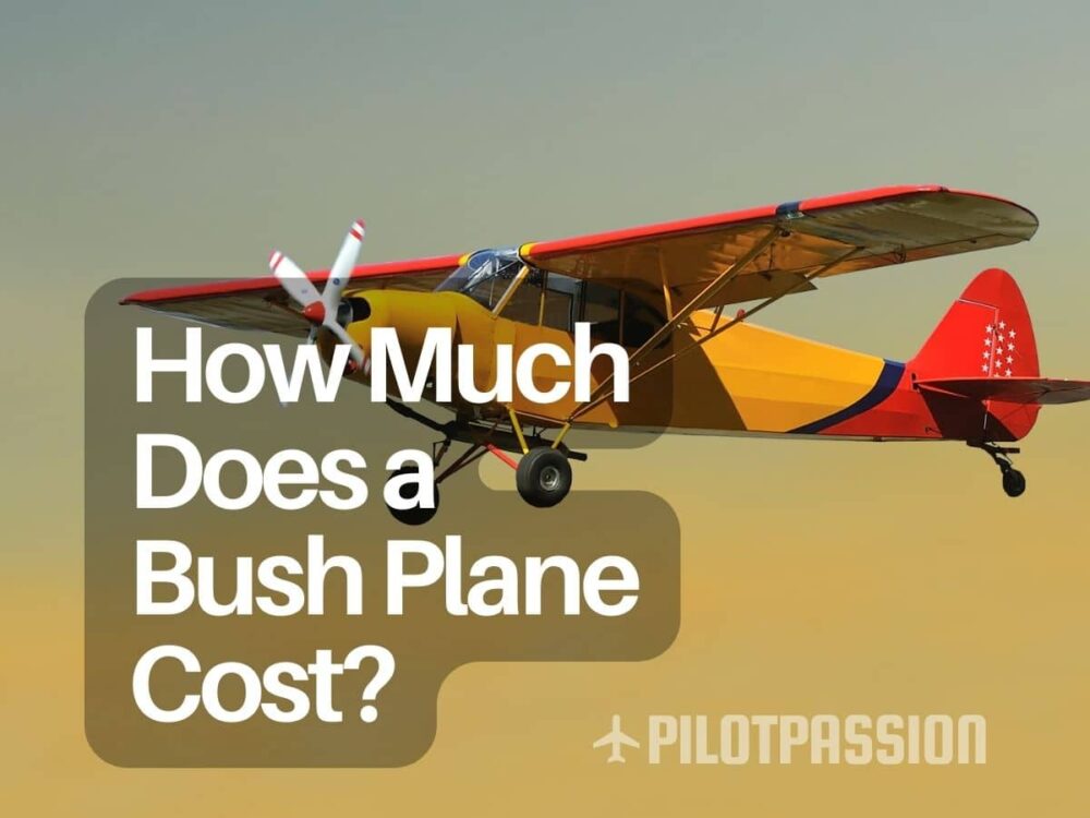 How Much Does a Bush Plane Cost? (2024 Prices)