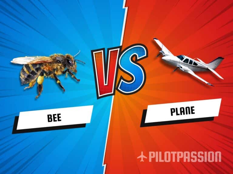 do bumblebees fly like planes