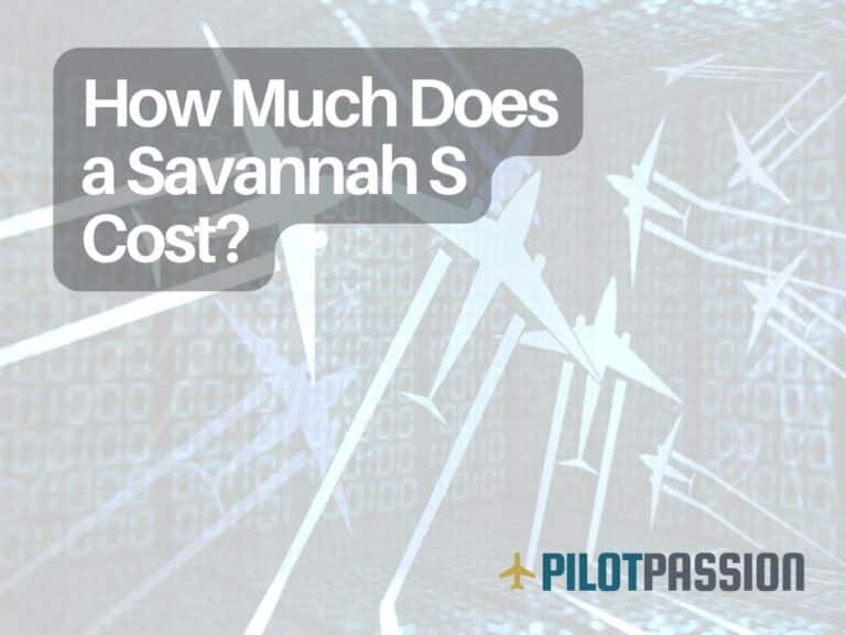 How Much Does a Savannah S Cost?